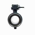 065N0166GR RJIP Premium Кран шаровой WW DN300 PN25 WG (приварной, с редуктором, С/П), Ридан
